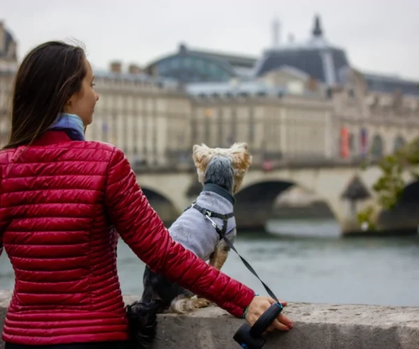 RSPCA advises on new EU pet travel rules