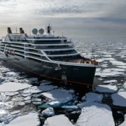 Seabourn Expands 2028–29 Antarctica, South Georgia Voyages