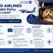 What Is the United Airlines Pet in Cabin Policy and Size Limit?